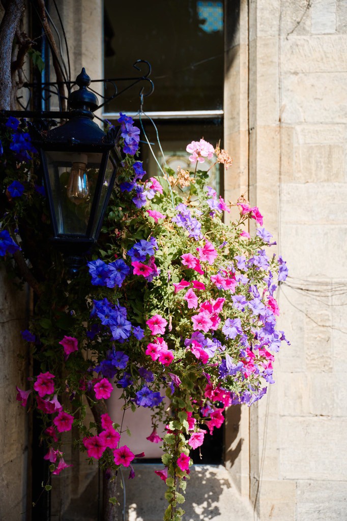 thumbnail_image6